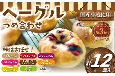 べーぐる 詰め合わせ 12個 セット 国産 小麦 国産 厳選 小麦 ベーグル パン ぱん be-guru pann pan プレーン ブルーベリー チョコ イチジク くるみ 地元 野菜 朝食 個包装 楽しみ 冷凍 プレゼント ギフト 手土産 喜ぶ muginami BAKERY ムギナミベーカリー 神奈川 湘南 藤沢