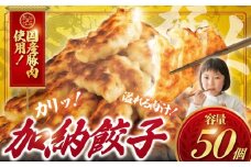 ぎょうざ 餃子 50個 肉汁 旨い パック 豚肉 ぶた 野菜 焼き餃子 水餃子  国産豚  豚肉 野菜 ギョーザ gyouza 冷凍餃子 冷凍ぎょうざ ぶたにく 生餃子 冷凍 ご飯 おかず 夕食 おつまみ 晩酌 簡単調理 時短 簡易包装 手作り餃子 冷凍 冷凍食品 中華 加納食堂 神奈川 湘南 藤沢