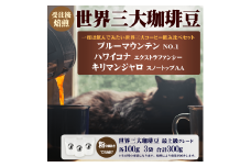 世界 三大 コーヒー 粉 詰め合わせ セット 100g × 3袋 珈琲 珈琲豆 ハワイコナ ブルーマウンテン キリマンジャロ 受注後 焙煎 中細挽き こだわり 自家焙煎 おすすめ 生豆 風味 スペシャルティコーヒー コーヒー豆 カフェイン リフレッシュ 趣味 モーニング 最上級 品 湘南福猫 神奈川 藤沢 湘南
