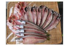 小田原ひもの詰合せ s45【惣菜 魚 干物 ひもの お取り寄せ 御中元 お中元 お歳暮 父の日 母の日 贈り物 家庭用 自宅用 贈答品 贈答用 ギフト 定番 朝食 朝ごはん 国産 中あじ、中かます、中金目鯛  神奈川県 小田原市 】
