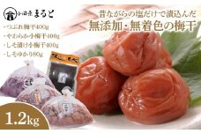 昔ながらの塩だけで漬込んだ無添加・無着色の梅干1.2kg【梅干 梅干し ウメボシ うめぼし 梅干 梅 ウメ お家用 家庭用 国産 無添加 無着色 神奈川県 小田原市 】
