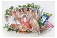 超ひものセット【惣菜 魚 干物 ひもの お取り寄せ 御中元 お中元 お歳暮 父の日 母の日 贈り物 家庭用 自宅用 贈答品 贈答用 ギフト 定番 朝食 朝ごはん あじ いぼ鯛 かます かれい ホッケ いか 金目鯛 さば 神奈川県 小田原市 】