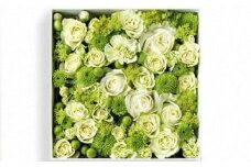 【お花の定期便】「季節毎」に届く、旬のアレンジメント Mサイズ（4回お届け）【「季節毎」に届く、旬のアレンジメント 世界らん展 フラワードリームジャパンカップ 国内主要コンテスト受賞 贈り物 神奈川県 小田原市 】
