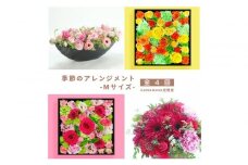 【お花の定期便】「季節毎」に届く、旬のアレンジメント Mサイズ（4回お届け）