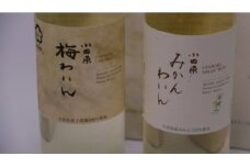 城下町小田原の飲み比べわいんBセット（2本セット)