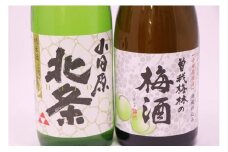 小田原のめぐみ。北条純米酒と曽我梅酒2本セット