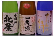 厳選！城下町小田原の日本酒３本セット【日本酒３本セット 小田原の日本酒 小田原産米100%使用 純米酒 吟醸生貯蔵酒さがみの詩 上撰一夜城 小田原北条純米酒 丹沢山系の伏流水 柔らかな口当たり 神奈川県 小田原市 】