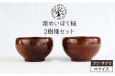 漆めいぼく椀 中 ２樹種セット(ブナ・サクラ)【めいぼく椀11.5φ×6.8cm 手作り ふき漆塗り 国産天然木 おしゃれ プレゼント 記念 お祝い お椀 漆 2客セット ペア 夫婦 神奈川県 小田原市 】