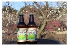 小田原うめクラフトチューハイ　12本セット