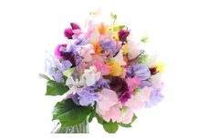 旬のお花で季節の花束【旬のお花で季節の花束 世界らん展 フラワードリームジャパンカップ 国内主要コンテスト受賞 贈り物 フラワーライフ 生活の彩 お部屋の彩 約 幅30cm、奥行き30cm、高さ35cm 神奈川県 小田原市 】