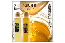 フルーツ漬け蜂蜜2本セット（梅みつ＆生姜みつ）【はちみつ ハチミツ 蜂蜜 家庭用 自宅用 贈答品 贈答用 ギフト お取り寄せ 御中元 お中元 お歳暮 父の日 母の日 贈り物 梅 生姜 フルーツ 神奈川県 小田原市 】