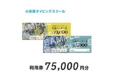 小田原ダイビングスクール共通クーポン券 75,000円分