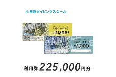 小田原ダイビングスクール 共通クーポン券 225,000円分