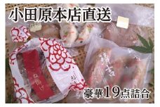 【創業244年小田原蒲鉾発祥の店　鱗吉】【19枚】老舗の練り物5種セット【惣菜 おかず 家庭用 自宅用 贈答品 贈答用 ギフト お取り寄せ 御中元 お中元 お歳暮 贈り物 鰯揚げ てどり揚げ 彩しんじょ てこね揚げ 紅生姜棒 おでん 手造り 神奈川県 小田原市 】