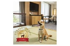 ワンちゃんと一緒にステイヒルトンドッグフレンドリールーム素泊まり（平日）【オーシャンビュー フィットネス 天然温泉大浴場 バーデゾーン 朝食ビュッフェ 都心から１時間のリゾート ヒルトン 神奈川県 小田原市 】
