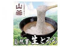 自然薯の味をお楽しみください。自然薯生とろろ100ｇ×５ｐセット【とろろ 極上とろろ 山芋 箱根 お家用 家庭用 国産 セット商品 自然薯 味付とろろ 神奈川県 小田原市 】