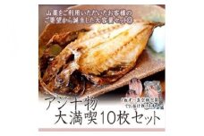 【水産事業者を応援しよう！】一番人気、小田原の魚「アジ」をたっぷり楽しめます。小田原干物　アジ１０枚セット【アジセット 小田原の干物 たっぷりアジのセット アジを楽しむ 大満足10枚セット アジ三昧 アジを食す アジから始まる 神奈川県 小田原市 】
