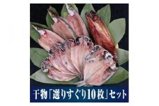 【水産事業者を応援しよう！】小田原名物「干物」をさまざまな魚でそれぞれのおいしさを。小田原干物 選りすぐり10枚セット【惣菜 魚 ひもの 選りすぐり10枚セット こだわりの逸品 おすすめの10枚セット ひもの食べつくし 神奈川県 小田原市 】