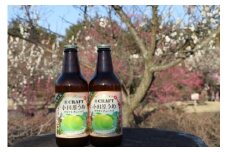 小田原うめクラフトチューハイ　48本セット