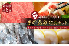 【定期便6ヶ月】まぐろや　特別セット【 惣菜 まぐろ 鮪 本鮪 サーモン 海老 お刺身 海鮮 セット 福袋 キンメ きんめ お取り寄せ 御中元 お中元 お歳暮 父の日 母の日 贈り物 日本酒 焼酎】【 神奈川県 小田原市 】