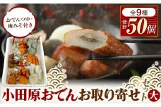 小田原おでんお取り寄せセット大106【惣菜 おでん 小田原のおでん さつま揚げ 鯵さつま うずら包み タコネギボール しんじょ いわしの黒はんぺん ごぼう巻き いわし昆布ボール おでんつゆ 梅みそ 神奈川県 小田原市 】