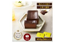 極上の口溶け。幸せの生ガトーショコラ 450g 2本セット【 高級 濃厚  極上スイーツ グルテンフリー チョコ ショコラテリーヌ 高品質クーベルチュールチョコレート使用 一流シェフ 神奈川県 小田原市 】