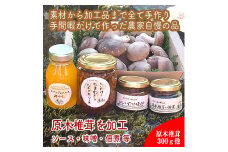 原木生椎茸と椎茸のソース&味噌&佃煮、椎茸の廃ホダを肥料に育ったみかんジャムのセット【家庭用 自宅用 贈答品 贈答用 ギフト お取り寄せ お中元 お歳暮 贈り物 お祝い 神奈川県 小田原市 】