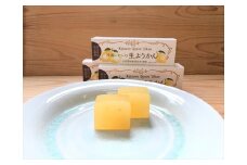 小田原老舗和菓子店の手づくり片浦レモンの生ようかん【和菓子店 手作りようかん 片浦レモンの生ようかん  職人の手作り 神奈川県指定銘菓 レモン 和スイーツ   神奈川県 小田原市 】