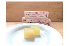 小田原老舗和菓子店の手づくり小田原梅の生ようかん【和菓子店 手作りようかん 小田原梅の生ようかん  職人の手作り 銘菓　梅 和スイーツ  神奈川県 小田原市 】