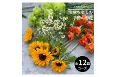 【お花の定期便】素材を楽しむ季節のお花(全12回）【素材を楽しむ季節のお花 フラワーライフ 切り花セット 毎月お届け 花本来の長さ 季節のお花 ご自宅にお届け 生け花 観賞用 飾り用 旬の枝物 全12回 神奈川県 小田原市 】