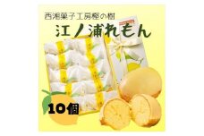西湘菓子工房樫の樹　江ノ浦れもん10個入りギフト 【 お菓子 スイーツ 神奈川県 小田原市 】