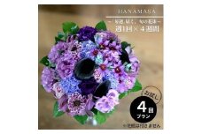 【定期便 全4回・毎週】「毎週」届く、旬の花束【 神奈川県 小田原市 】