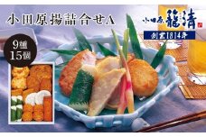 【小田原籠清】小田原揚詰合せA  創業1814年 二百有余年の歴史を重ねた小田原老舗 かごせい 職人の技で仕上げた 高級揚げ蒲鉾 自宅用 ギフト プレゼントにも最適