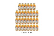 【定期便 3回】 小田原産江之浦みかん１００％ストレートジュース１８０ml３０本