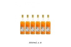 小田原産江之浦みかん１００％ストレートジュース５００ml６本