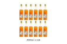 小田原産江之浦みかん１００％ストレートジュース５００ml１２本
