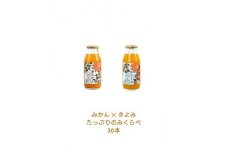 みかんジュースのみくらべセット 小田原産江之浦うんしゅうみかん＆きよみ１００％ストレートジュース１８０ml各１５本合計３０本セット