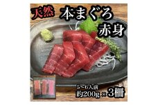 貴重な天然本鮪 赤身 約200g×3柵 約5 ６人前●マグロの中心部天身を使用！【赤身 天身 惣菜 海鮮 お取り寄せ 御中元 お中元 お歳暮 父の日 母の日 贈り物 日本酒 焼酎】【神奈川県小田原市早川】