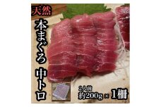 貴重な天然本鮪 中トロ 約200g 1柵　約2人前●くどくない上質な脂が美味しい！【とろ マグロ 惣菜 海鮮 お取り寄せ 御中元 お中元 お歳暮 父の日 母の日 贈り物 日本酒 焼酎】【神奈川県小田原市早川】