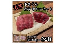 貴重な天然本鮪 赤身 約200g 中トロ 約200g 各2柵ずつ 4 5人前●赤身はマグロの中心部天身を使用！中とろの脂はくどくない上質な脂！【赤身 天身 惣菜 海鮮 お取り寄せ 御中元 お中元 お歳暮 父の日 母の日 贈り物 日本酒 焼酎】【神奈川県小田原市早川】