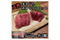 貴重な天然本鮪 赤身 約200g 中トロ 約200g 各3柵ずつ 6 8人前●赤身はマグロの中心部天身を使用！中とろの脂はくどくない上質な脂！【赤身 天身 惣菜 海鮮 お取り寄せ 御中元 お中元 お歳暮 父の日 母の日 贈り物 日本酒 焼酎】【神奈川県小田原市早川】
