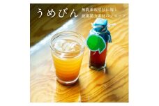 濃厚梅エキスと漢方のシロップ「うめびん（杉田梅） by Kampo Kitchen」【 家庭用 自宅用 贈答品 贈答用 ギフト お取り寄せ お中元 お歳暮 贈り物 お祝い 神奈川県 小田原市 】