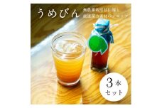 【３本セット】濃厚梅エキスと漢方のシロップ「うめびん（杉田梅） by Kampo Kitchen」【 家庭用 自宅用 贈答品 贈答用 ギフト お取り寄せ お中元 お歳暮 贈り物 お祝い 神奈川県 小田原市 】