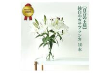 【百合の王様】【未開花/長持ち】農林水産大臣賞を受賞したフローリストがアレンジする“純白のカサブランカ”【 花 お花 神奈川県 小田原市 】