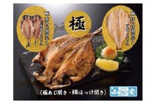 【 小田原 山安 】老舗の極干物 詰め合わせ４種 (10枚) 【 縞ほっけ開き干し 真あじ開き干し 金目鯛開き干し いか開き干し 干物 詰合せ 神奈川県 小田原市 】
