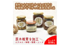 椎茸加工品セット（加工品４種セット）【 家庭用 自宅用 贈答品 贈答用 ギフト お取り寄せ お中元 お歳暮 贈り物 お祝い 神奈川県 小田原市 】