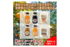 峯フルーツセット 計6種類 手づくりジャムソース4種 ドライフルーツ2種 【 家庭用 自宅用 贈答品 贈答用 ギフト お取り寄せ お中元 お歳暮 贈り物 お祝い 神奈川県 小田原市 】