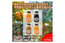 手づくりジャムソース 4本セット 手作りみかん キウイ あまなつ ブルーベリー 125ml 詰め合わせ ギフト 【 家庭用 自宅用 贈答品 贈答用 ギフト お取り寄せ お中元 お歳暮 贈り物 お祝い 神奈川県 小田原市 】