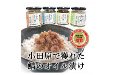 【小田原で獲れたさばのオイル漬け4種類セット】ガーリック・ネギ味噌・生姜・山椒の４種類のセット。農林水産大臣賞受賞。ご飯のお供にだけでなく様々な料理に使える逸品です。【 神奈川県 小田原市 】