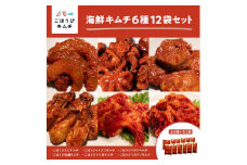 【ごほうびキムチ】海鮮キムチ6種12袋セット（生赤エビ・イイダコ・牡蠣・ホタテ・イカゲソ・トリ貝 各種2袋）【 キムチ 神奈川県 小田原市 】